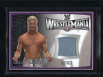 DOLPH ZIGGLER 2015 TOPPS WWE WRESTLEMANIA AUTHENTIC EVENT USED MAT RELIC AB5789