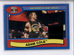 ADAM COLE 2018 TOPPS WWE WAR GAMES NXT EVENT USED BLUE MAT RELIC #29/50 AC2484